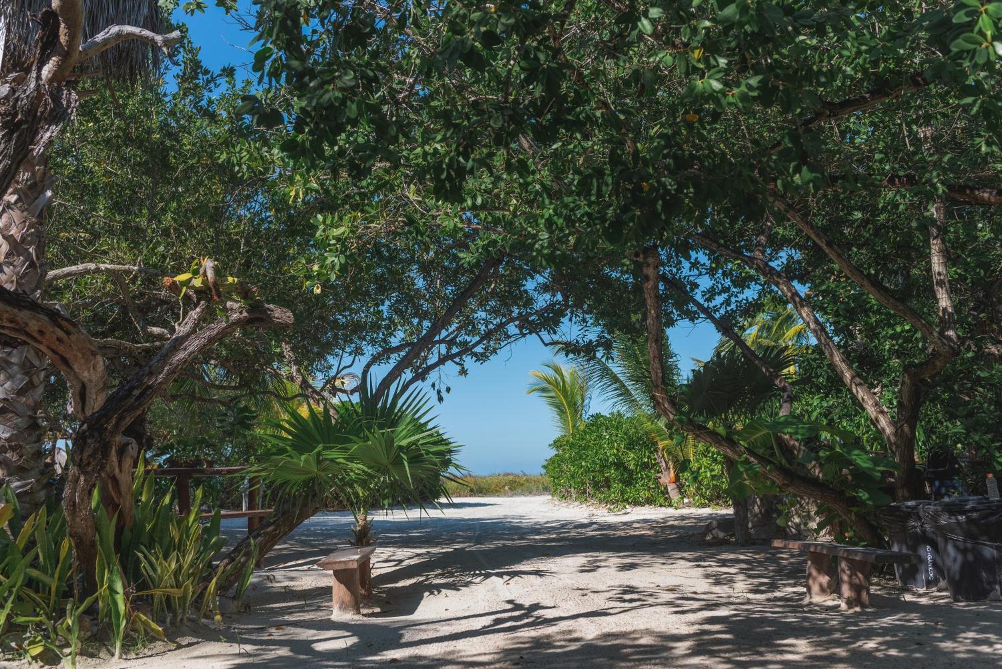 Casa Takywara Otel Isla Holbox Dış mekan fotoğraf